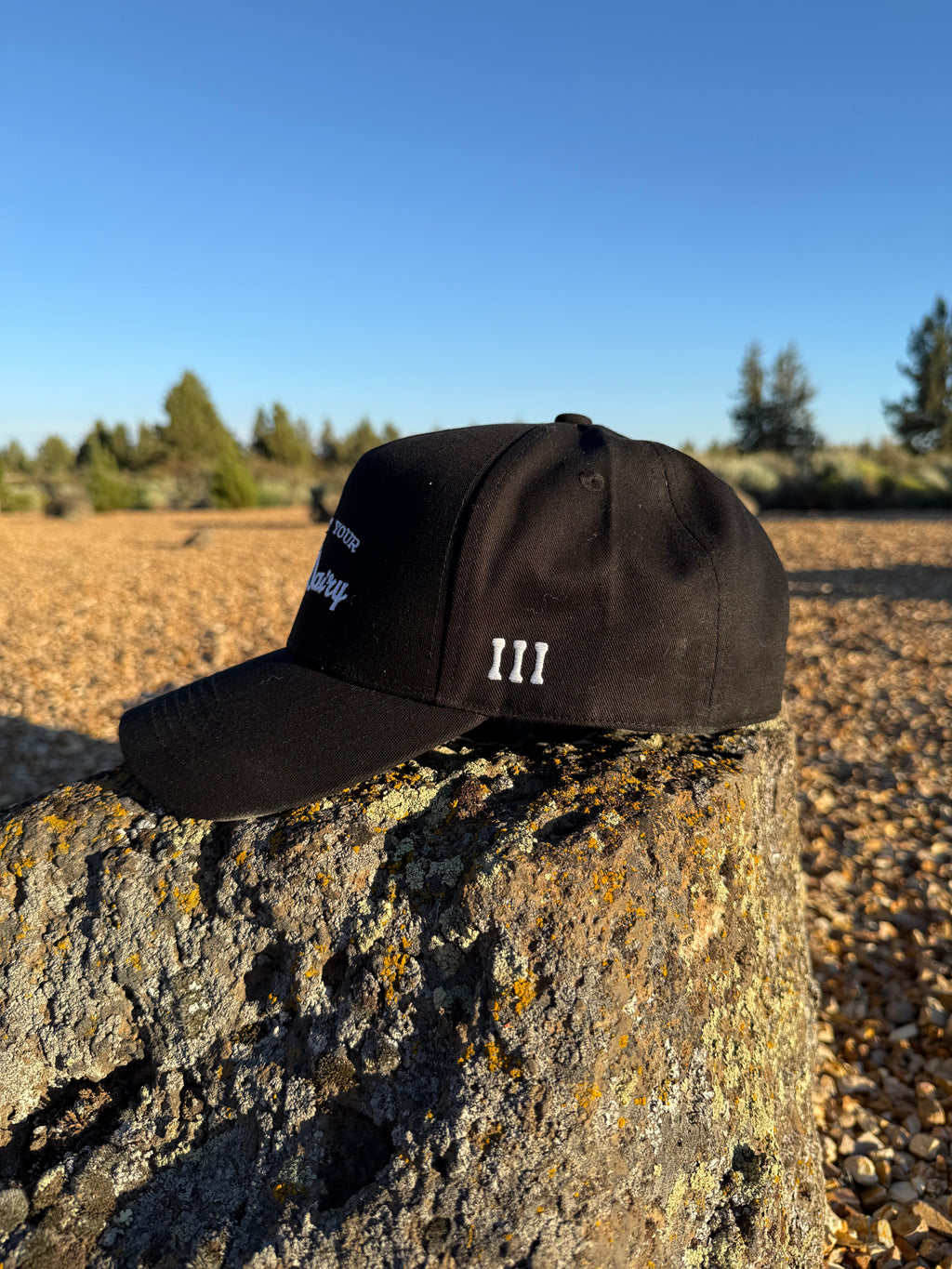 Support Your Local Dairy 5 Panel Snapback