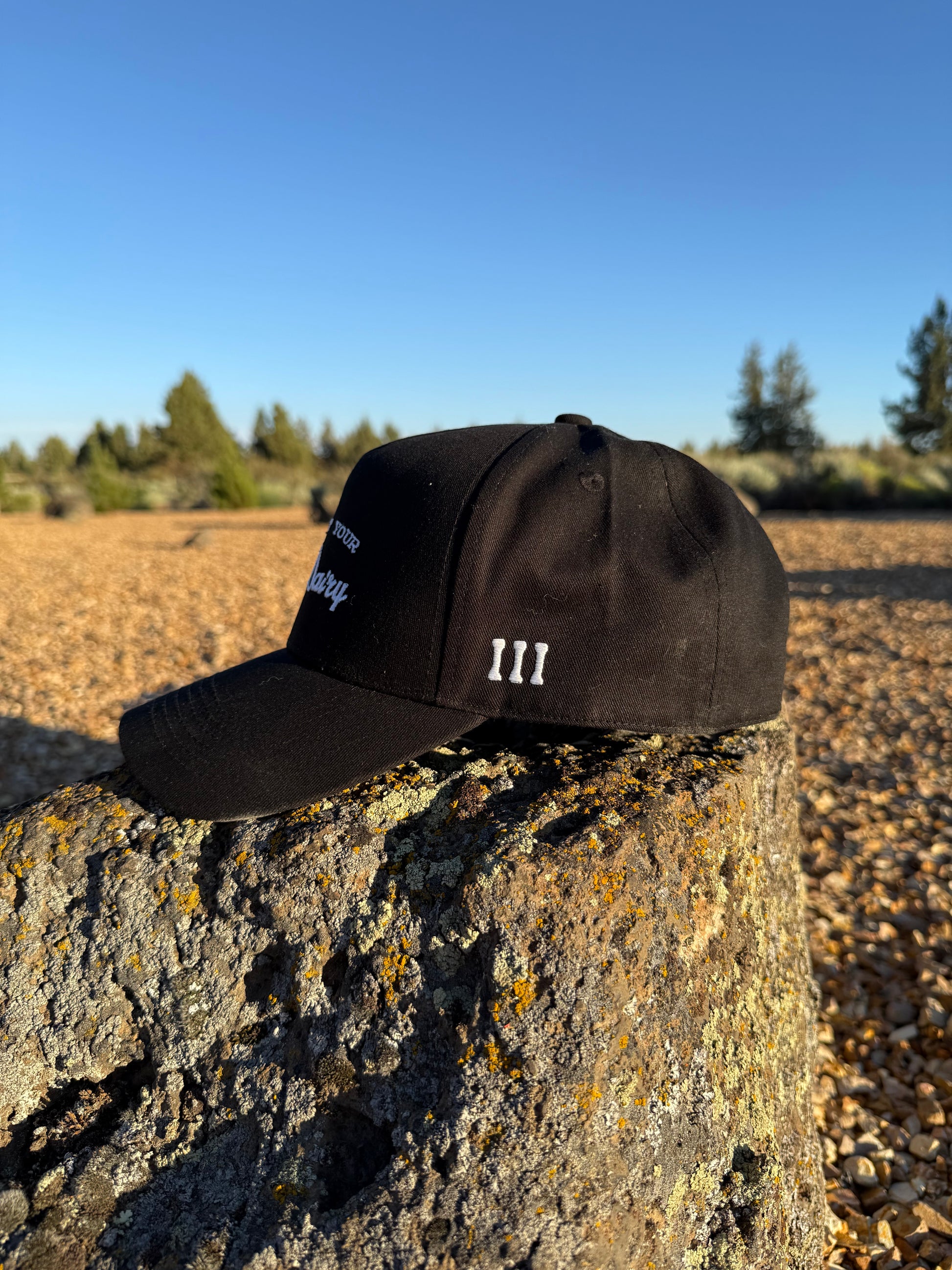 Support Your Local Dairy 5 Panel Snapback